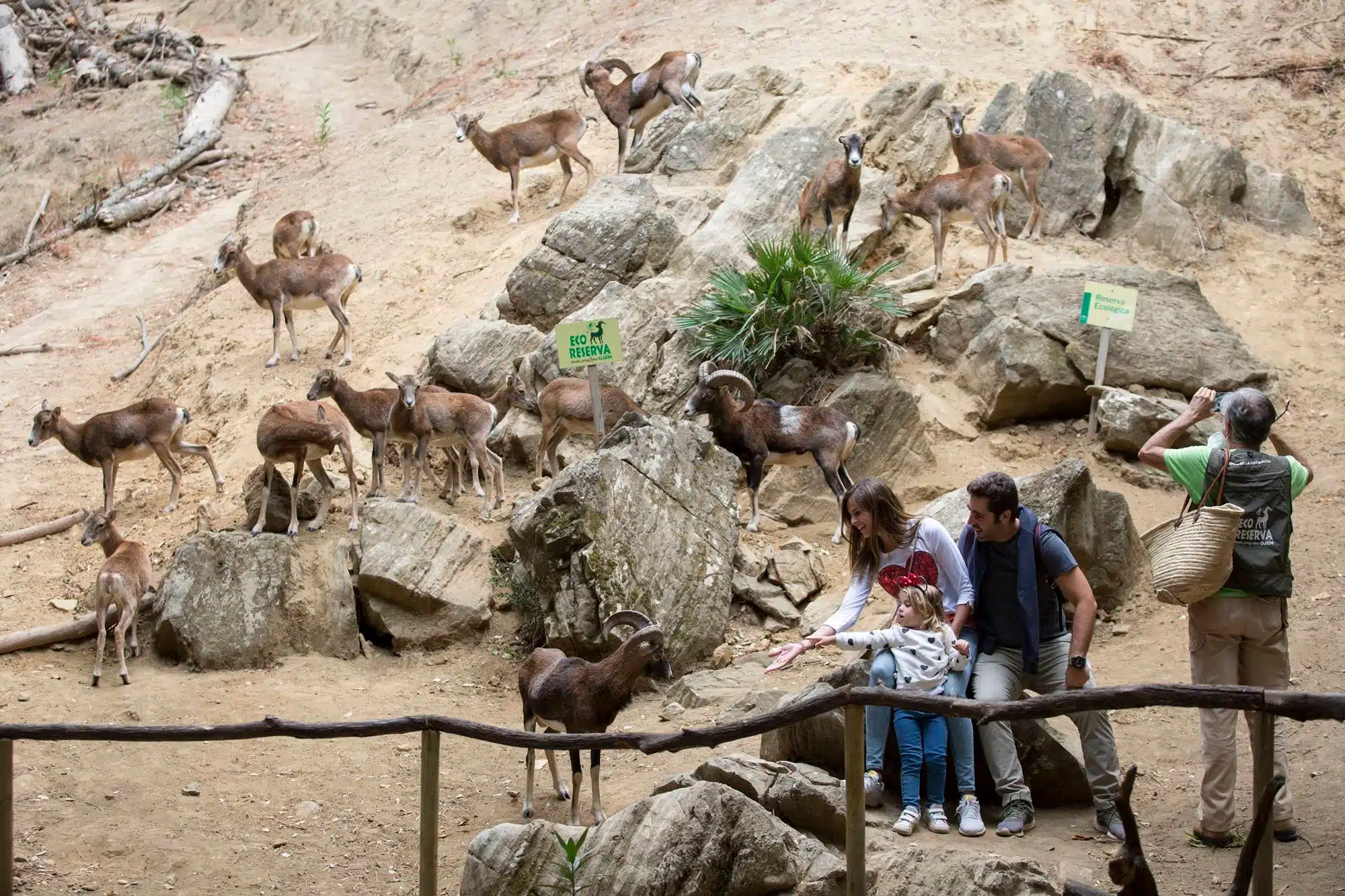 descubre la maravilla de un vuelo ecológico en málaga. disfruta de una experiencia única mientras surcas los cielos de esta hermosa región, consciente del medio ambiente y en contacto con la naturaleza.