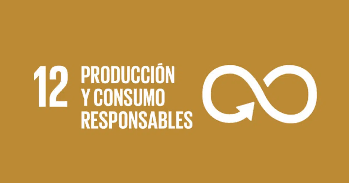 descubre cómo la producción y consumo sostenibles pueden transformar nuestro entorno. aprende sobre prácticas responsables que benefician al planeta y fomentan un futuro más verde y consciente.