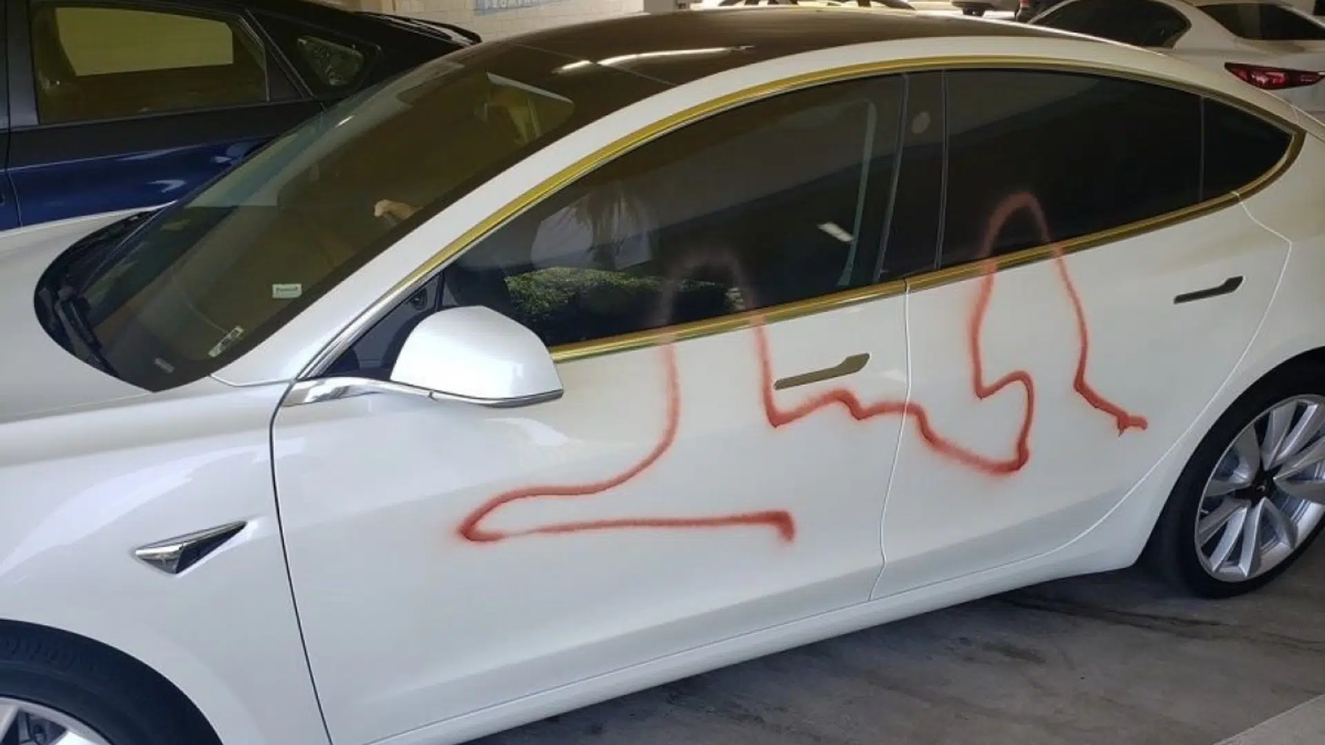 aumento vandalismo tesla